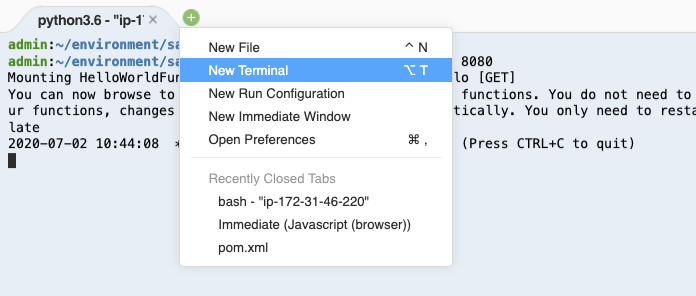 OpenNewTerminal